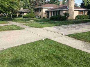 Jai B.'s Lawn Care service result
