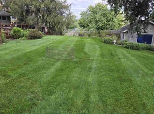 Dawn W.'s Lawn Care service result