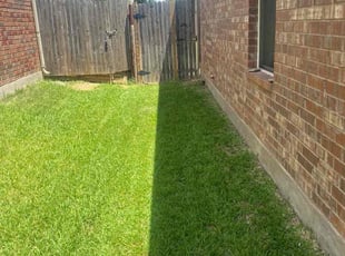 Dee H.'s Lawn Service service result