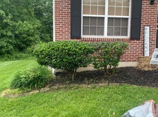 Bush Trimming by Jacob Enderle for Jasmyn N. in Amelia, OH