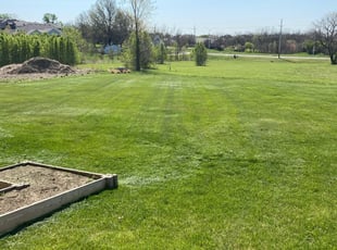 Sheila M.'s Lawn Care service result