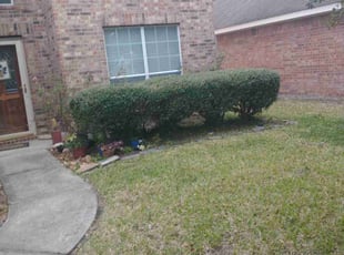 Bush Trimming by Joseph Meshell for Matthew P. in Porter, TX