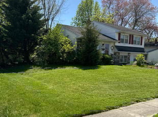 Monica E.'s Lawn Mowing Service service result