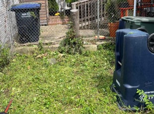 Bush Trimming by Ebenezer Assefa for Lawrence S. in Washington, D.C., DC