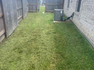 Anthony A.'s Yard Cutting service result