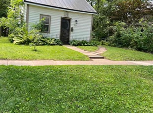 Seyi F.'s Lawn Service service result