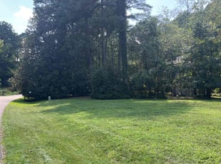 Emily H.'s Grass Cutting service result