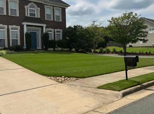 Stacy O.'s Lawn Mowing service result