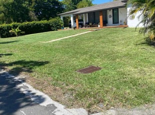Teresa B.'s Lawn Mowing Service service result
