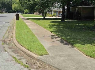 Jordan P.'s Lawn Mowing Service service result