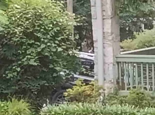 Cleanups by Jesse Blackshear for Miriam R. in Decatur, GA