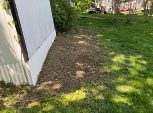 Cleanups by Andrew Perch for Matheus S. in Worcester, MA