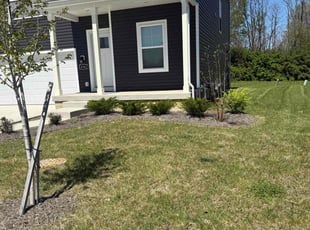 Megan H.'s Grass Cutting service result
