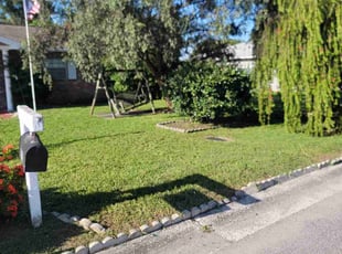 Jeanine P.'s Lawn Care service result