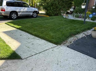 Michael C.'s Lawn Mowing service result