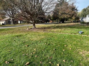 Leaf Removal by Chris Smith for Moira E. in Indianapolis, IN