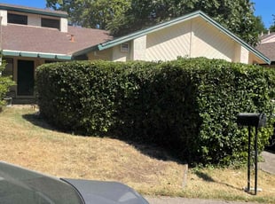 Bush Trimming by Diego Mojica for Brett M. in Citrus Heights, CA