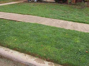 Anita B.'s Yard Cutting service result