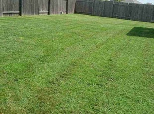 Janeen R.'s Lawn Care service result