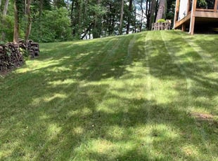 Pat A.'s Lawn Care service result