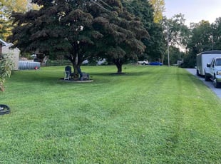 Brian S.'s Lawn Service service result