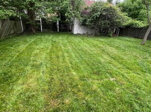 Antoine B.'s Lawn Mowing Service service result