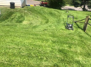 Alicia J.'s Lawn Mowing Service service result