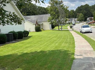 Joerg C.'s Lawn Care service result