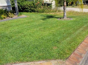 Sheebarani M.'s Grass Cutting service result