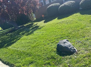 Sherry S.'s Lawn Mowing service result