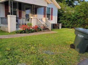 Luz M.'s Yard Cutting service result
