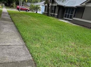 Timothy R.'s Lawn Mowing service result