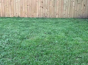 Leslee M.'s Lawn Mowing Service service result