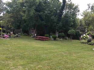 davina n.'s Lawn Care service result