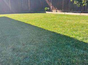 James C.'s Lawn Service service result