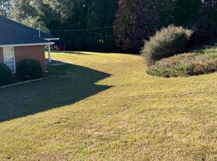 Karriem L.'s Lawn Care service result