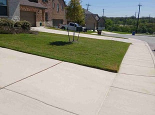Paul R.'s Lawn Mowing service result