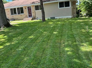 Markeith S.'s Lawn Maintenance service result