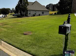Aubrey P.'s Yard Cutting service result