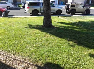 Gary W.'s Lawn Maintenance service result