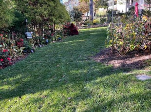 John H.'s Lawn Maintenance service result