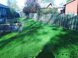 Glenn B.'s Lawn Maintenance service result