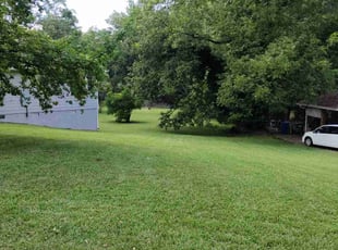 Mike W.'s Grass Cutting service result