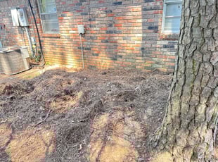 Cleanups by Robert Stewart for Jarrett S. in Little Rock, AR