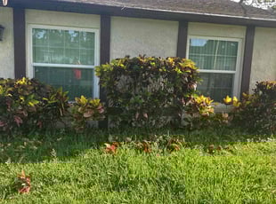 Bush Trimming by Tavares Parks for Jose P. in Cocoa, FL
