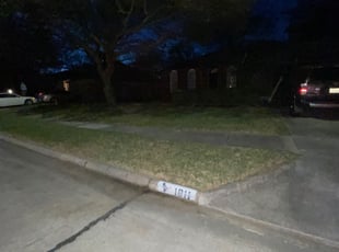 Leaf Removal by Oscar Vega for Lauren W. in Spring, TX