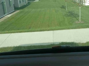 Tiru D.'s Lawn Mowing Service service result