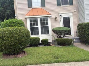 Dwight B.'s Bush Trimming service result