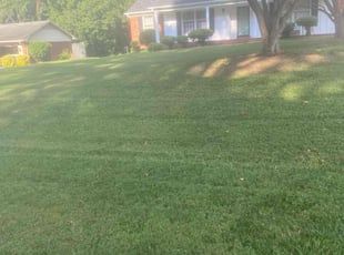 JMarie O.'s Lawn Mowing service result