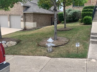 Bush Trimming by Steven Segrest for Shannon B. in San Antonio, TX